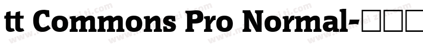 tt Commons Pro Normal字体转换